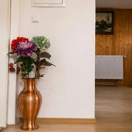 Cozy Schwenningen Apartment Villingen-Schwenningen